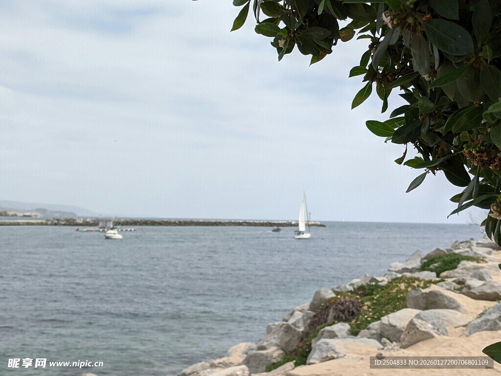 海边景致 帆船摇曳于碧波