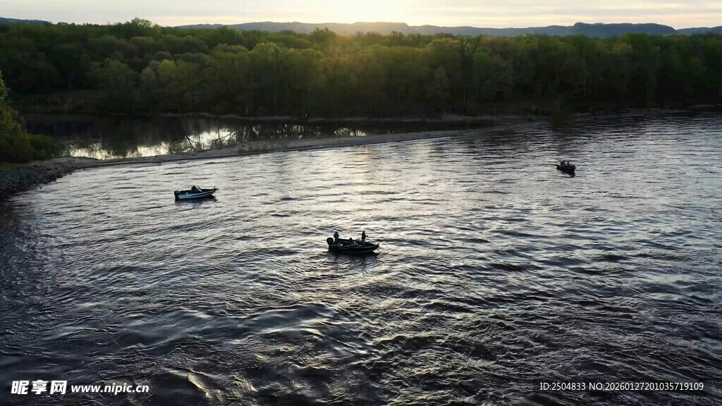 夕阳下河中悠 的鸭子