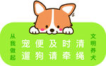 萌宠柯基提醒文明遛狗