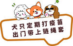宠物犬防疫与出行提示