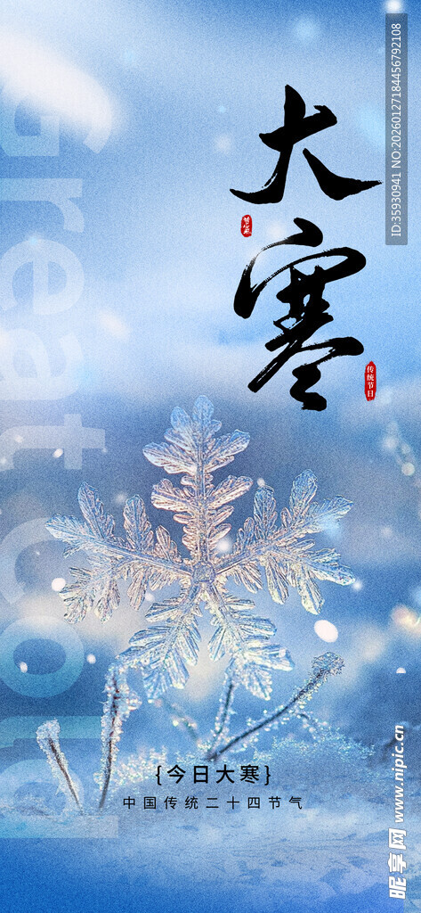 大寒海报