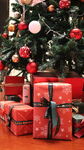 圣诞树下的精美礼物