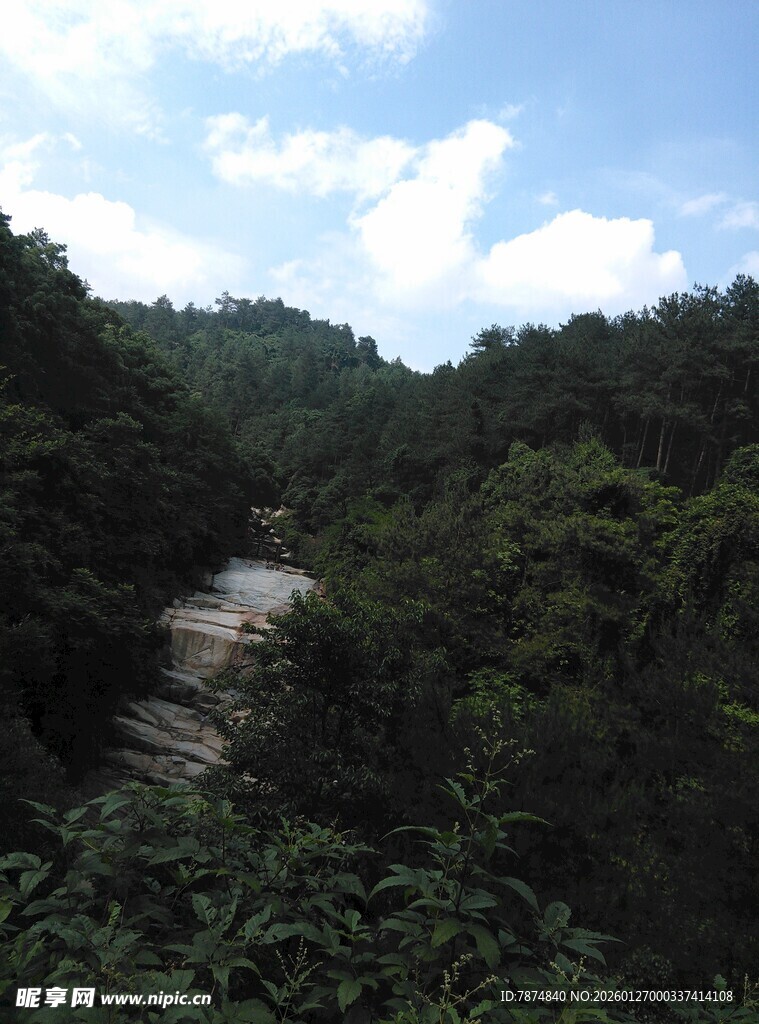 山间溪流穿林而过