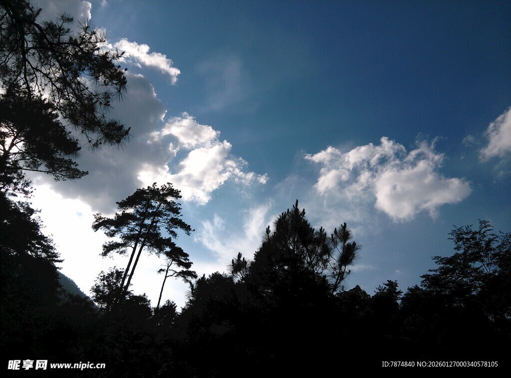 蓝天绿树间的白云景致