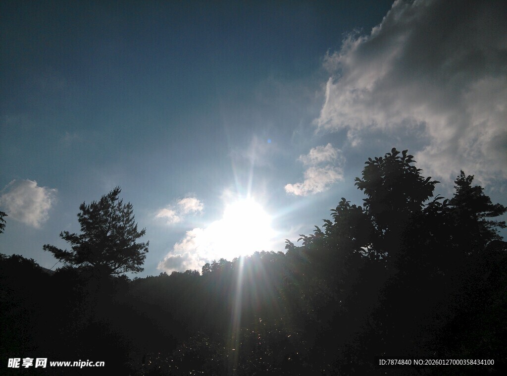 阳光穿透树林的美丽景象