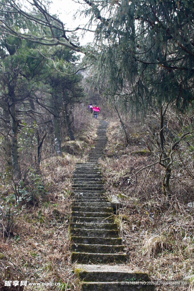 山林中的石阶步道
