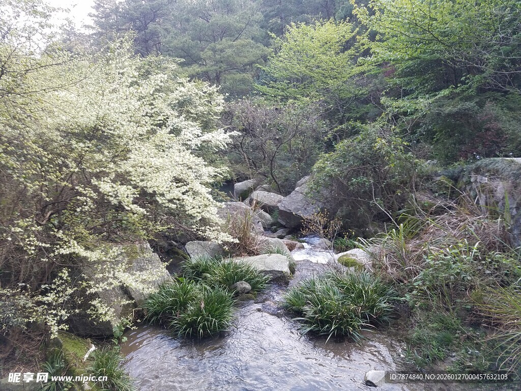 衡山山间溪流旁的绿意景致