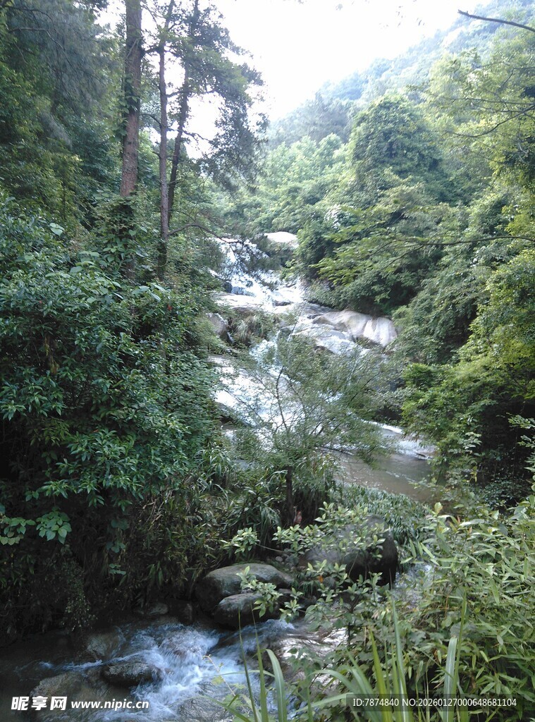 衡山山间溪流 绿意盎然的景致