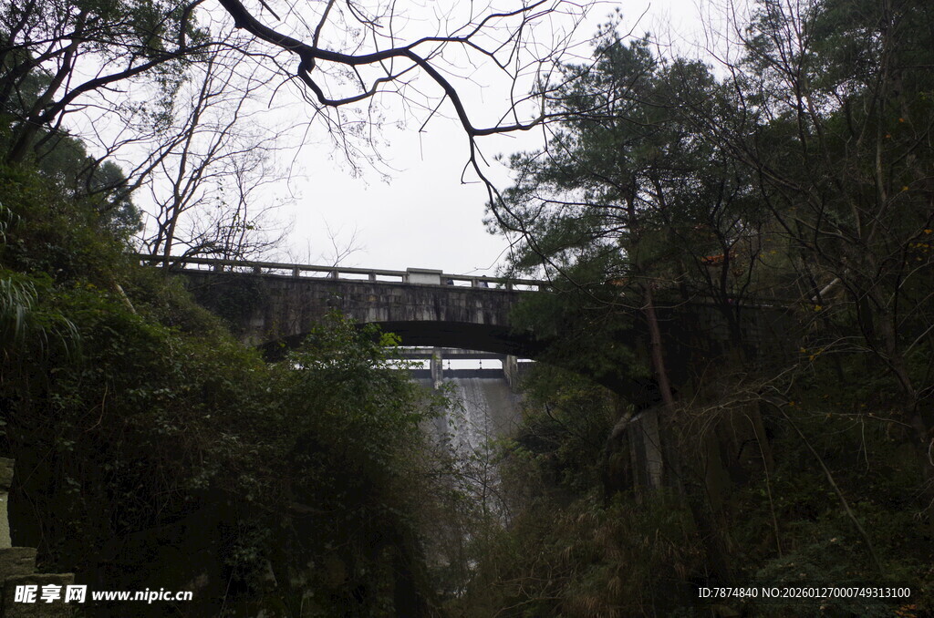 衡山林间悬桥 自然静谧之景