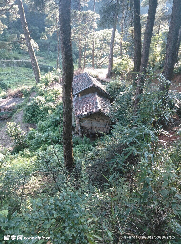衡山森林中的废弃小屋