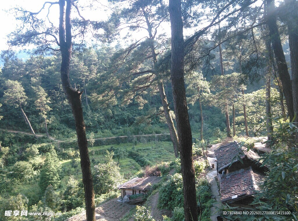 衡山山林中的露营场景