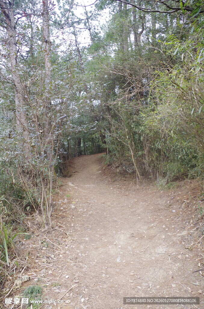 衡山林间幽静小径