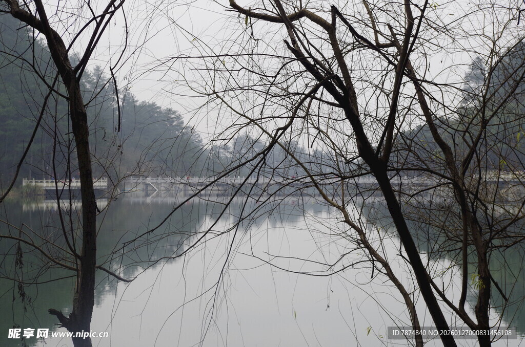 衡山冬日静湖旁的萧瑟树林