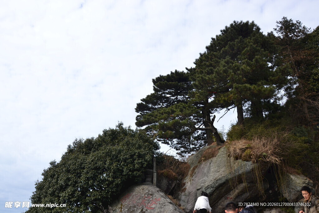 衡山山间松树旁的游客踪迹