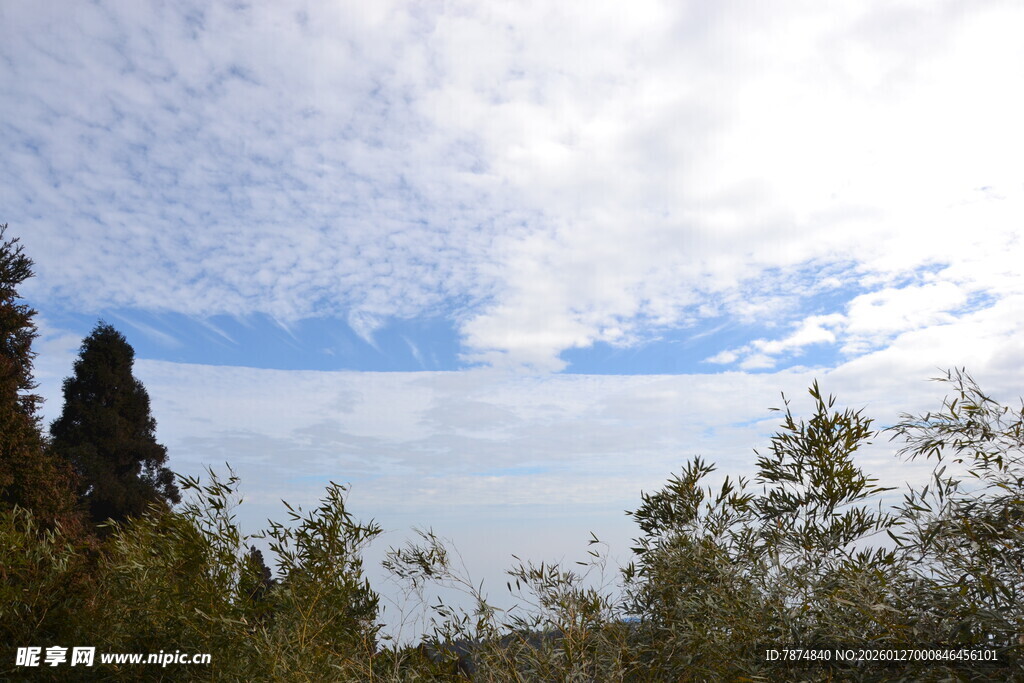 衡山蓝天白云下的葱郁树林