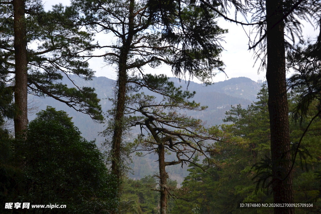衡山山林间的静谧景致