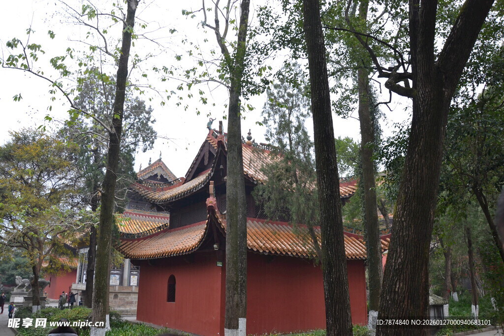 衡山古寺隐于绿树间