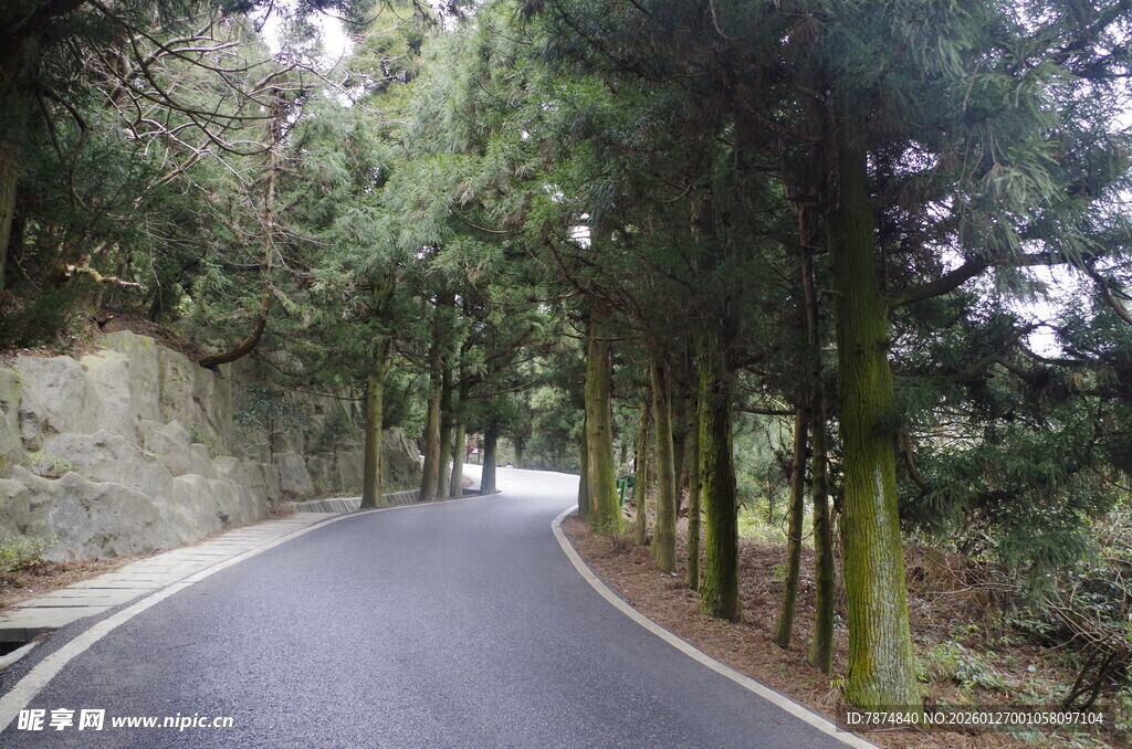 衡山蜿蜒林间路