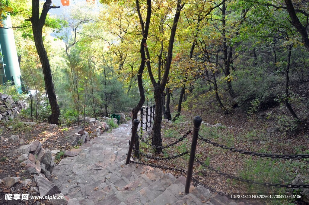 山间幽静小径秋景如画