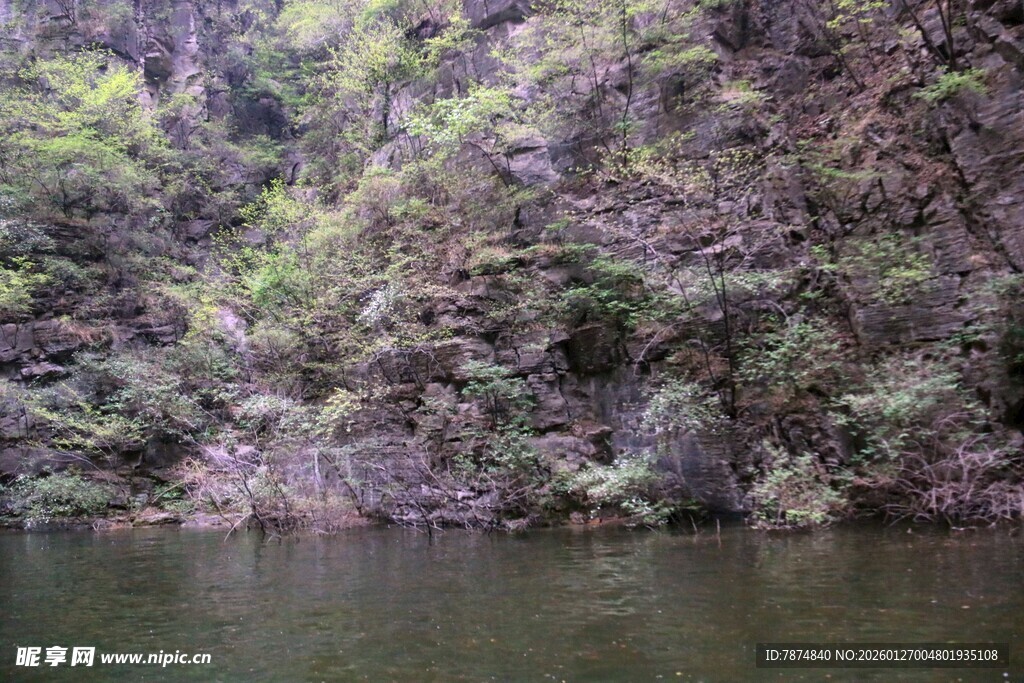 山间绿水环绕的葱郁景色