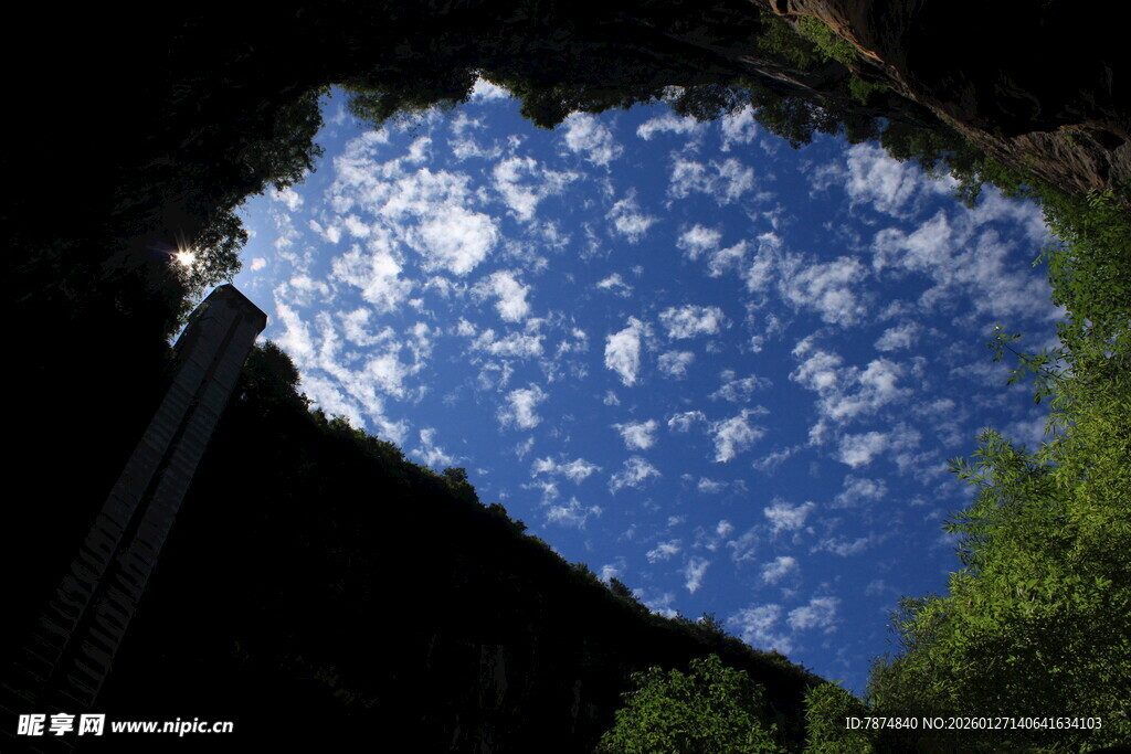 仰望天空的树木与白云
