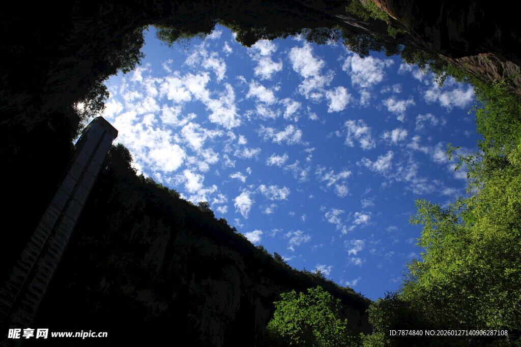 仰望山间蓝天绿树美景