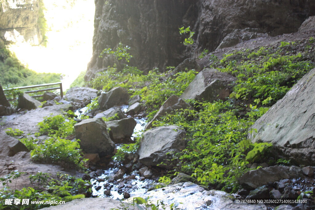 山间溪流 绿意盎然的景致
