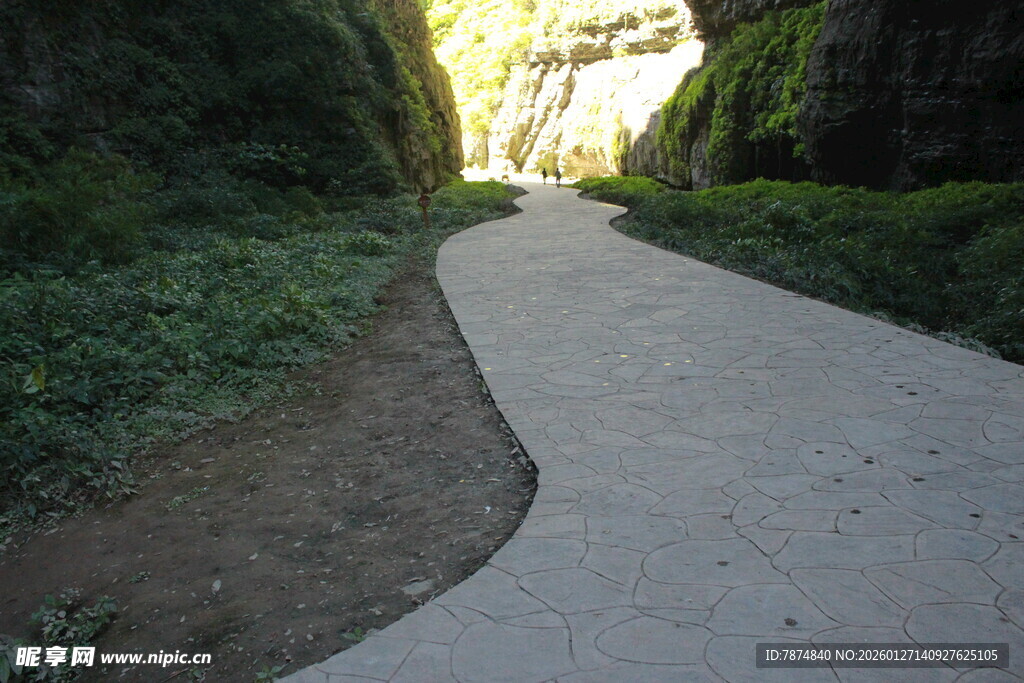 蜿蜒小径通往绿意深处