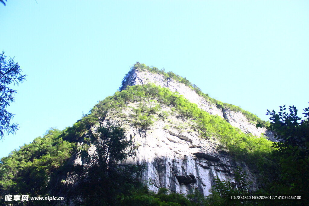 巍峨青山绿意浓