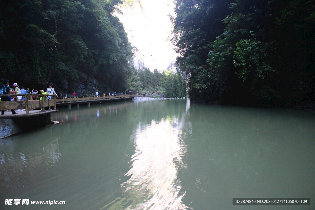 林间河畔栈道 清幽景致