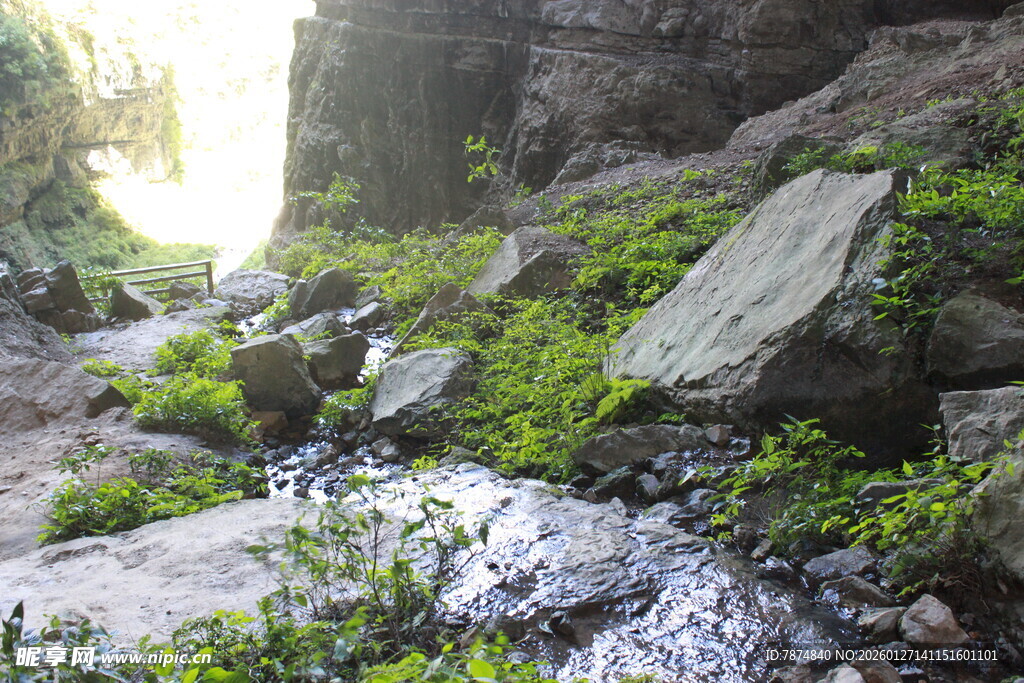山间溪流与岩石绿植景观