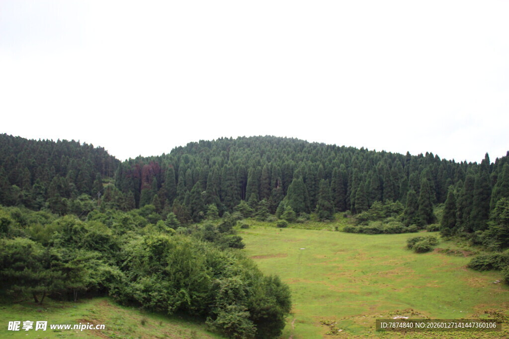 山林绿野自然风光图