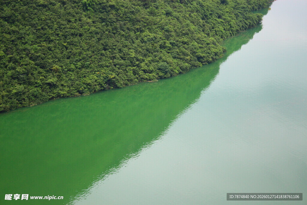 翠绿河岸与静谧绿水