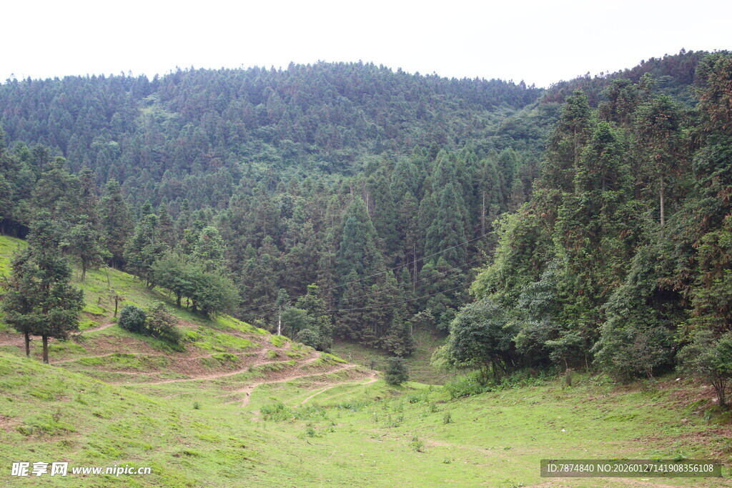 山间绿野风光
