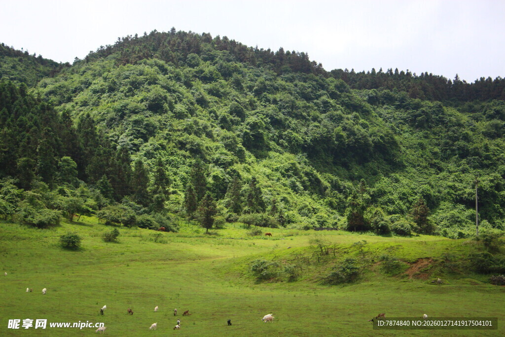 青山绿野间的宁静风光