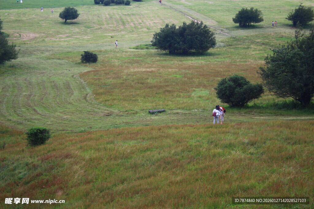 草原漫步