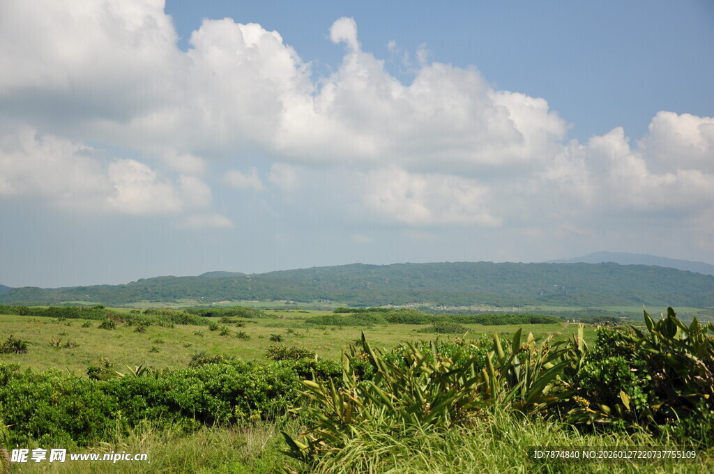 广袤绿野与天际白云