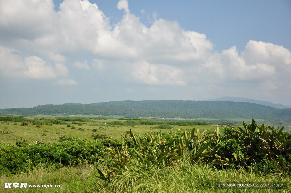 广袤绿野与远山蓝天