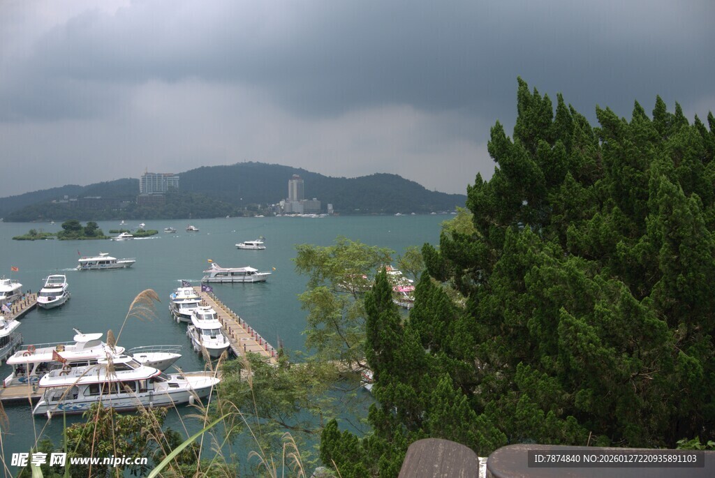 海港停泊船只与绿树景观