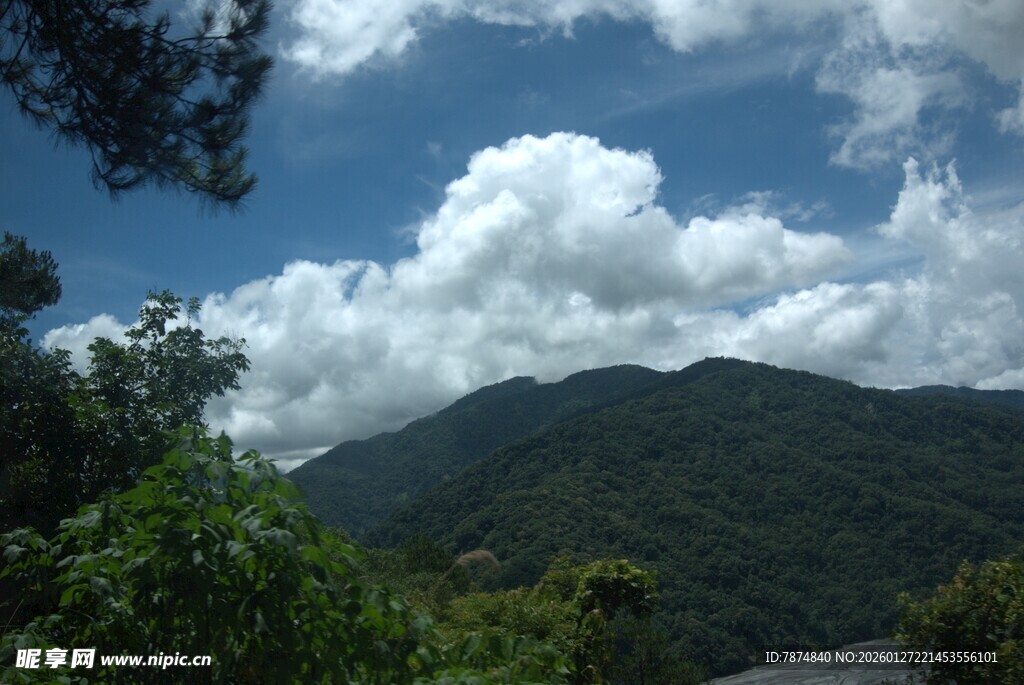 山间蓝天白云绿树美景