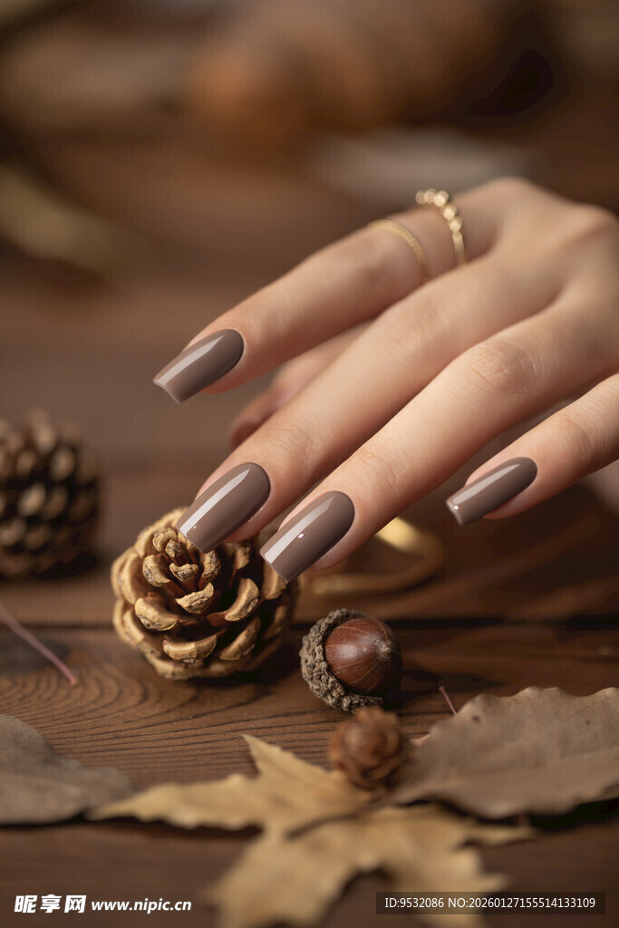 秋日美甲搭配松果落叶