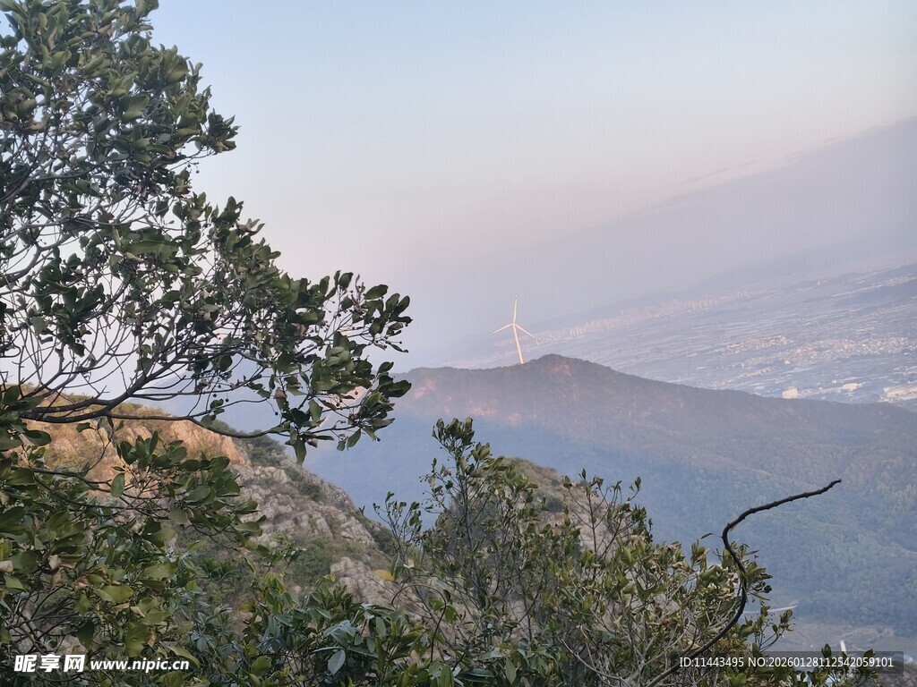 山间景致远树与朦胧山峦