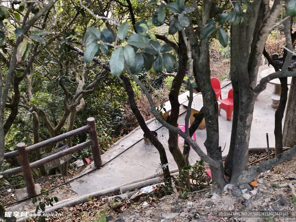 山间木质步道旁绿植环绕