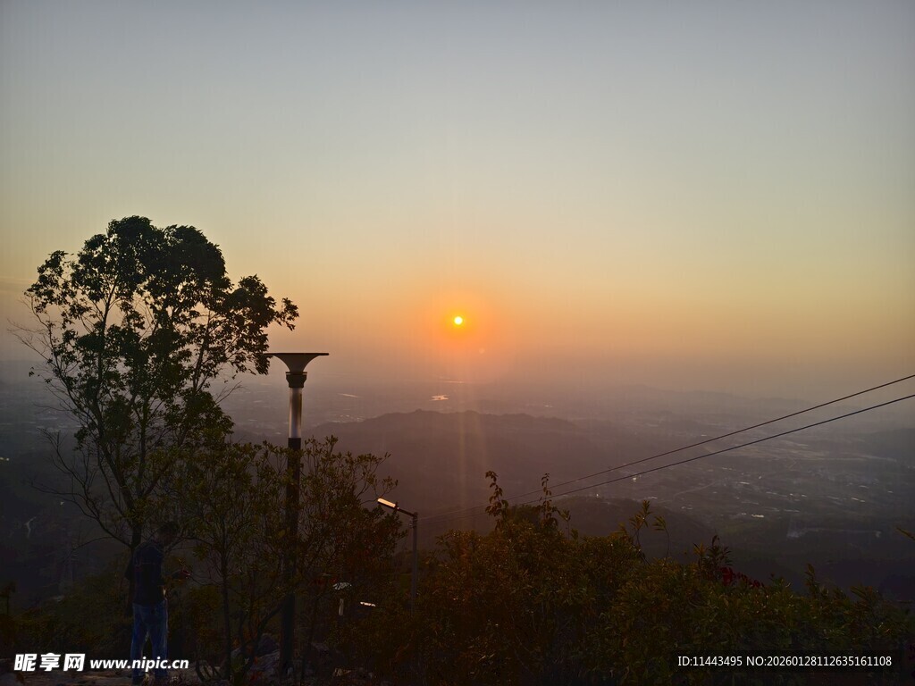 日出时分的山林景色