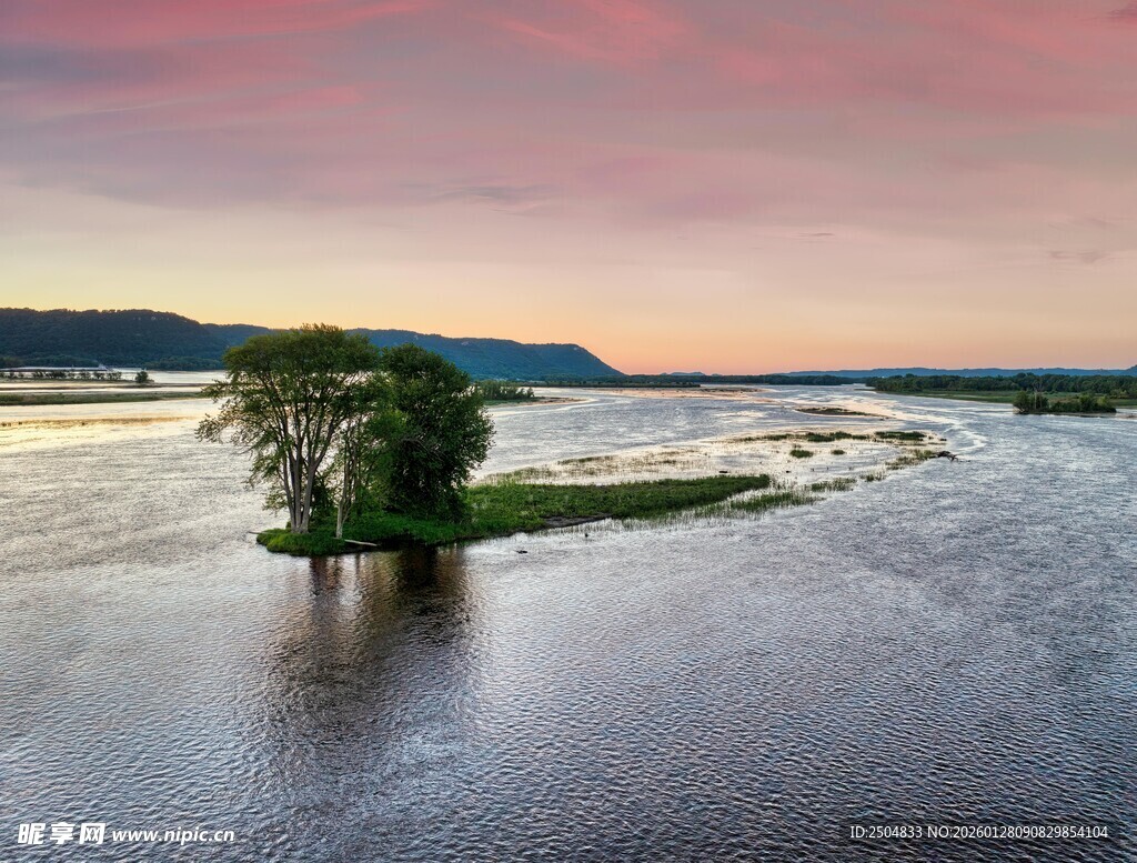 夕阳下水中孤树美景