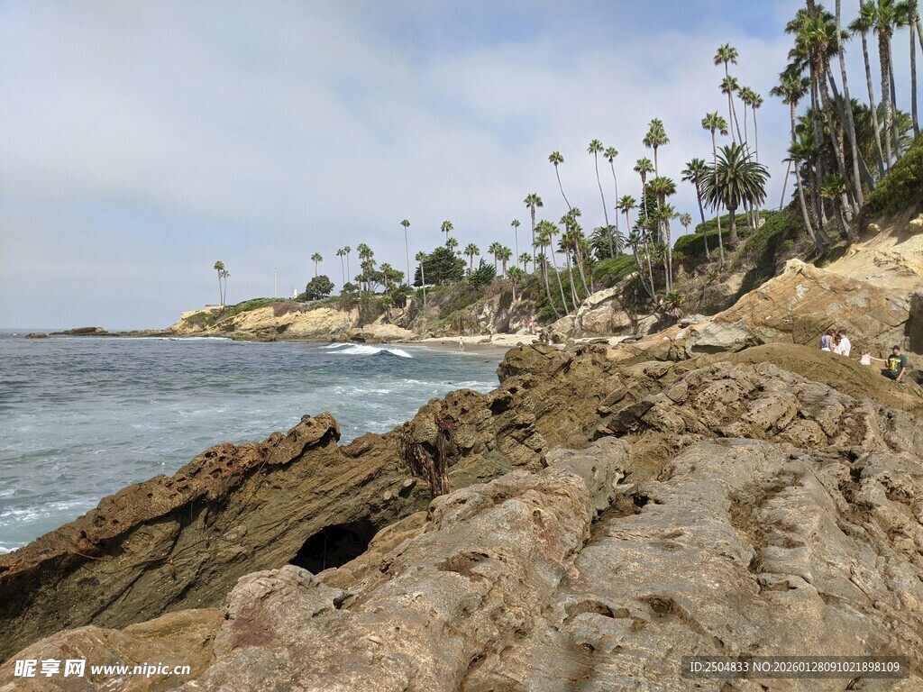 海岸边的岩石与棕榈树景观