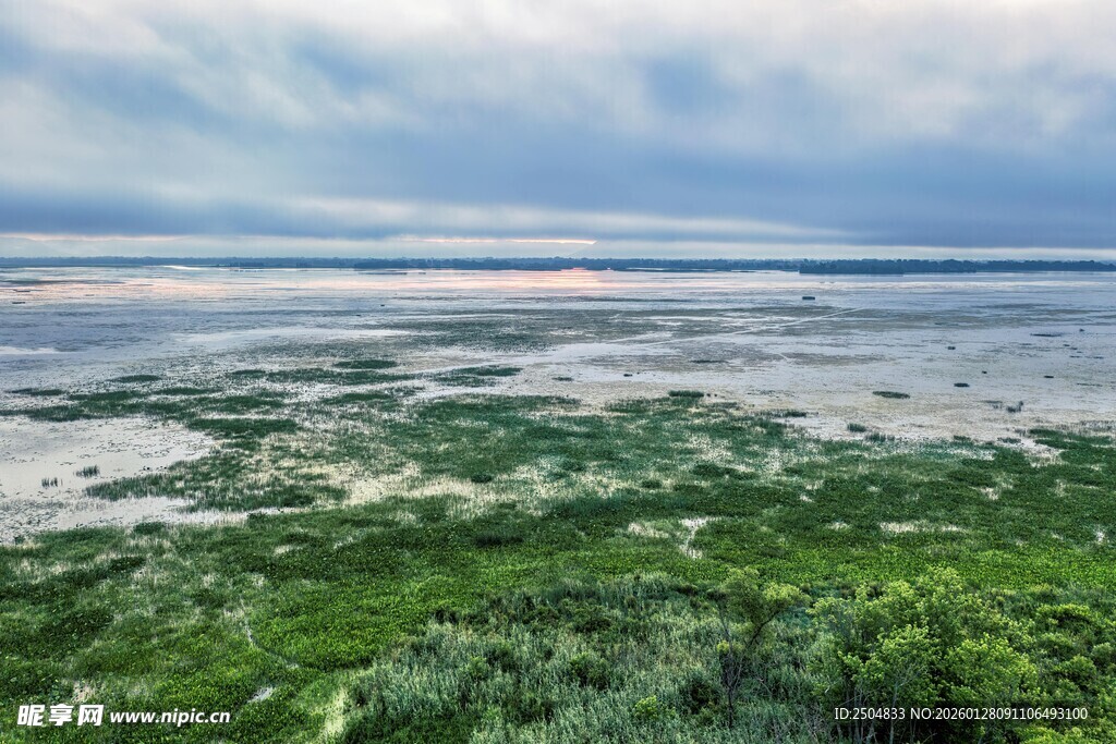 湿地风光 绿意盎然的自然景
