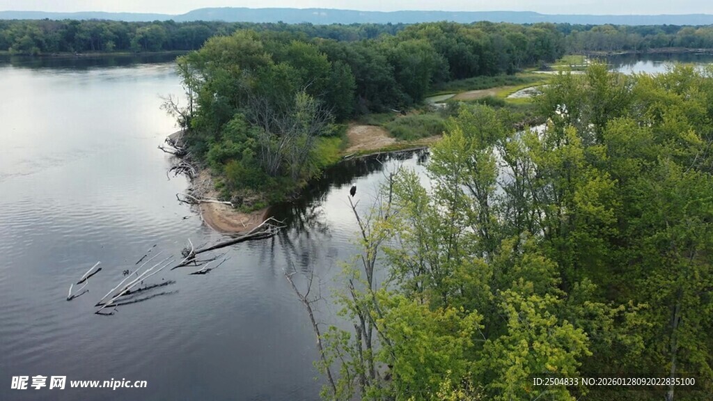 河畔绿意盎然的自然风光