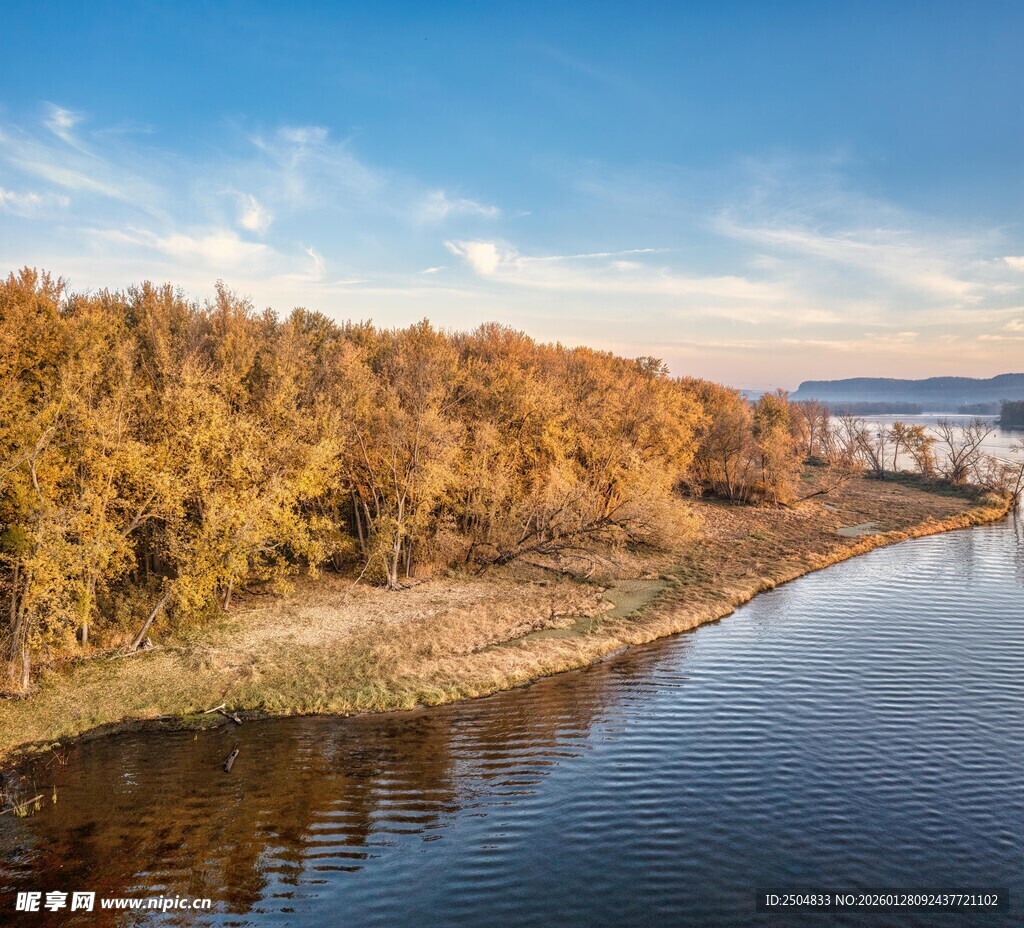 秋日河畔金黄树林美景