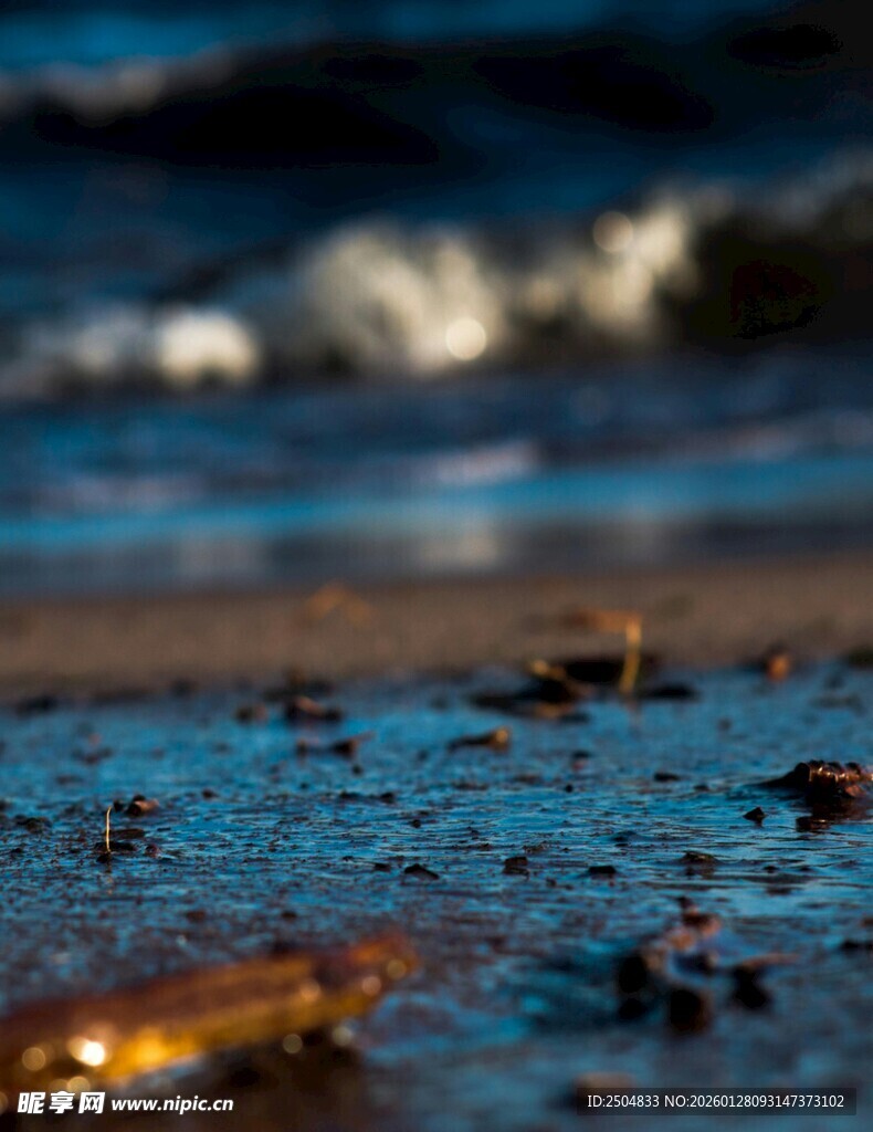 海边沙滩上的神秘小物